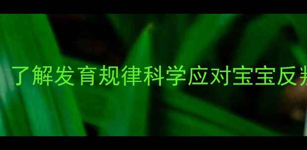 图片 0-3岁婴儿调皮期全：了解发育规律科学应对宝宝反叛期（附行为指南）2