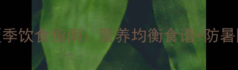 图片 0-6岁宝宝夏季饮食指南：营养均衡食谱+防暑降温小贴士2