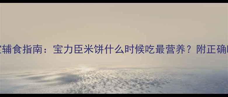 图片 1-3岁宝宝辅食指南：宝力臣米饼什么时候吃最营养？附正确喂养方法2