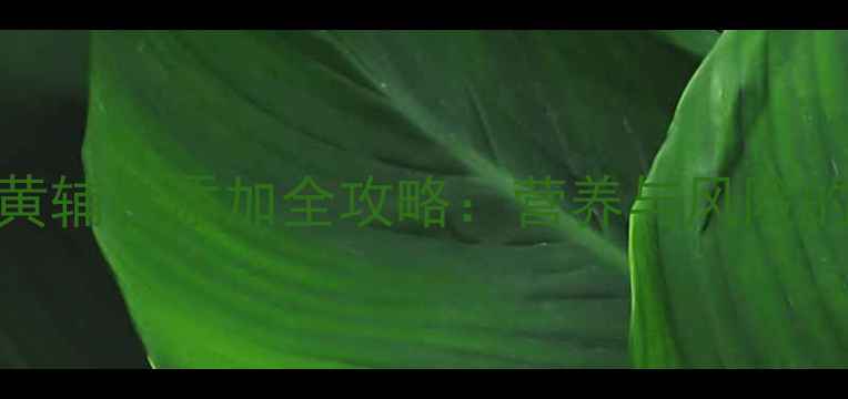 图片 1-6个月宝宝蛋黄辅食添加全攻略：营养与风险的科学喂养指南1