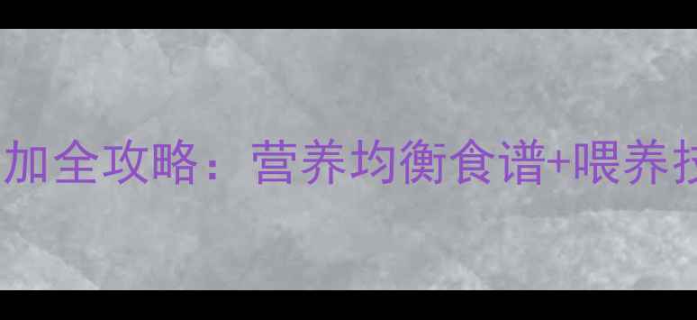 图片 10个月宝宝辅食添加全攻略：营养均衡食谱+喂养技巧+常见问题解答