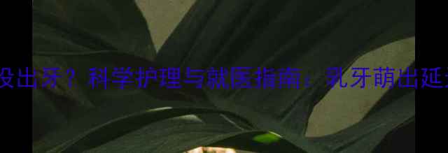 图片 10个月宝宝还没出牙？科学护理与就医指南：乳牙萌出延迟的应对策略1