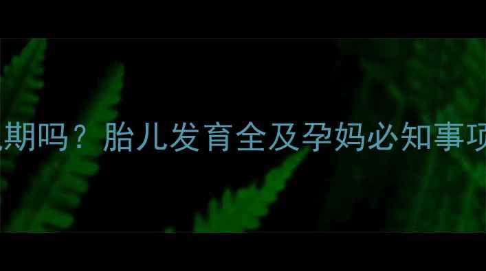 图片 23周怀孕属于孕晚期吗？胎儿发育全及孕妈必知事项（附产检指南）2