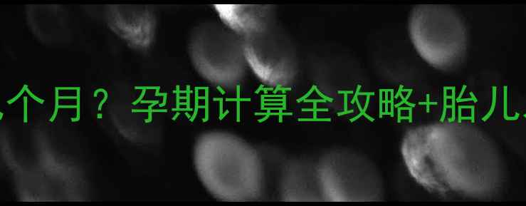 图片 24周+5天是孕几个月？孕期计算全攻略+胎儿发育与胎教指南