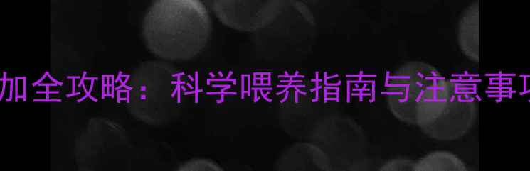 图片 3个月宝宝米粉添加全攻略：科学喂养指南与注意事项（附食谱推荐）