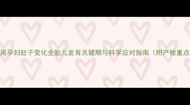 图片 40周孕妇肚子变化全胎儿发育关键期与科学应对指南（附产检重点）