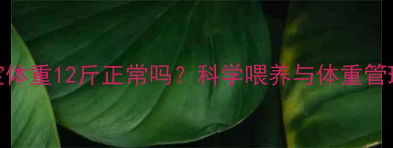 图片 4个月宝宝体重12斤正常吗？科学喂养与体重管理全指南1