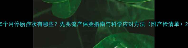 图片 5个月停胎症状有哪些？先兆流产保胎指南与科学应对方法（附产检清单）2