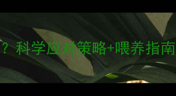 图片 5个月宝宝奶水变少？科学应对策略+喂养指南，新手妈妈必看！2