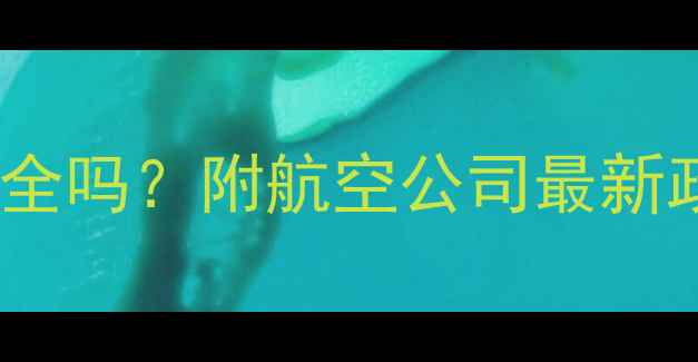 图片 ✈️8个月孕妇坐飞机安全吗？附航空公司最新政策+孕晚期乘机全攻略2