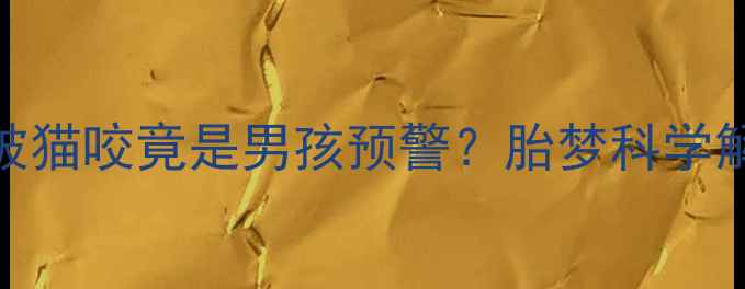 图片 ✨准妈妈必看孕妇梦见被猫咬竟是男孩预警？胎梦科学解读+生男生女全攻略✨2
