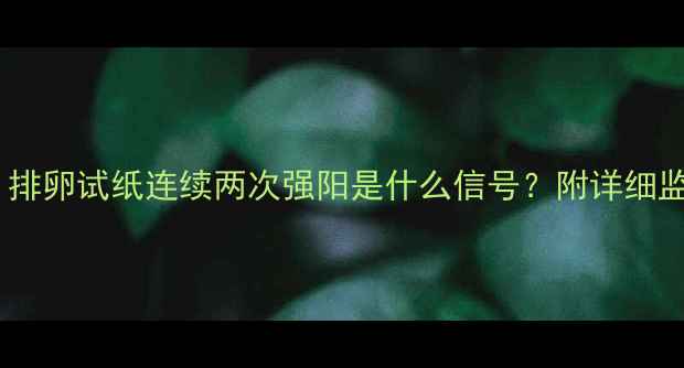 图片 ✨备孕必看！排卵试纸连续两次强阳是什么信号？附详细监测经验分享2