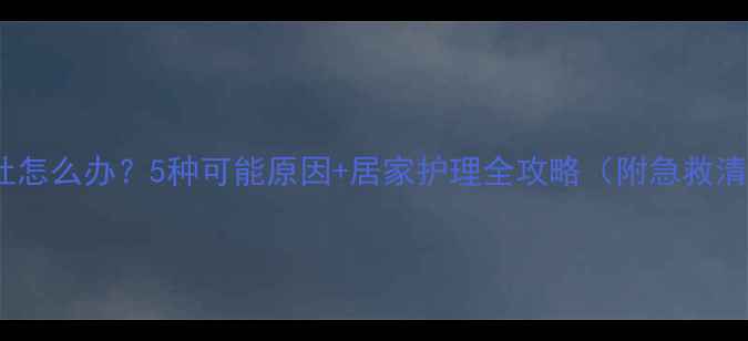 图片 ✨宝宝发烧呕吐怎么办？5种可能原因+居家护理全攻略（附急救清单）🌡️👶🏻1