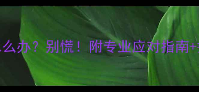 图片 三个月宝宝听力没通过怎么办？别慌！附专业应对指南+护理干货（附真实案例）