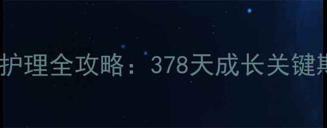 图片 三个月宝宝护理全攻略：378天成长关键期必读指南1
