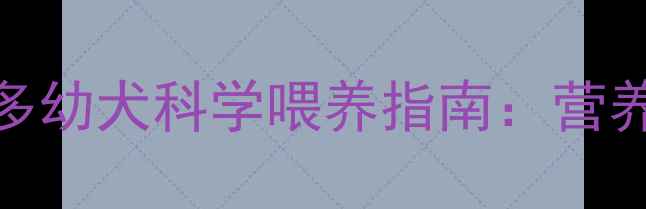 图片 两个月大的拉布拉多幼犬科学喂养指南：营养需求与喂养技巧全