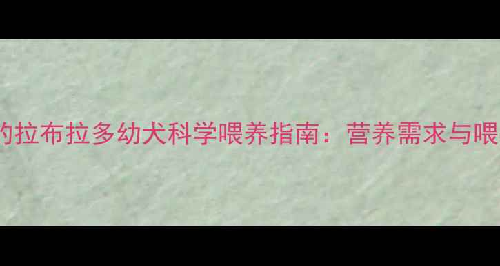 图片 两个月大的拉布拉多幼犬科学喂养指南：营养需求与喂养技巧全1