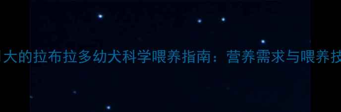 图片 两个月大的拉布拉多幼犬科学喂养指南：营养需求与喂养技巧全2