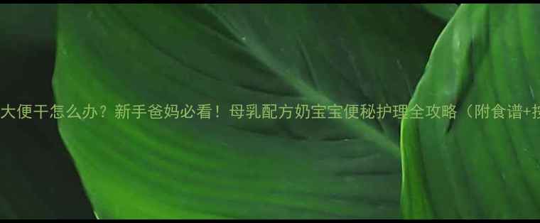 图片 两个月宝宝大便干怎么办？新手爸妈必看！母乳配方奶宝宝便秘护理全攻略（附食谱+按摩手法）2
