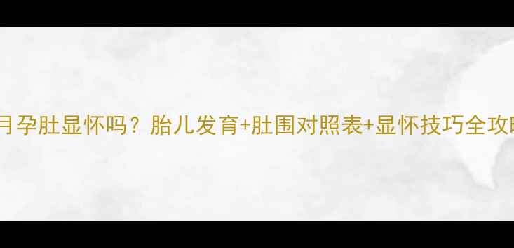 图片 五个月孕肚显怀吗？胎儿发育+肚围对照表+显怀技巧全攻略！2