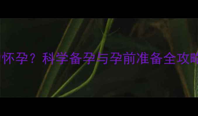 图片 人流后一个月成功怀孕？科学备孕与孕前准备全攻略（附权威指南）2