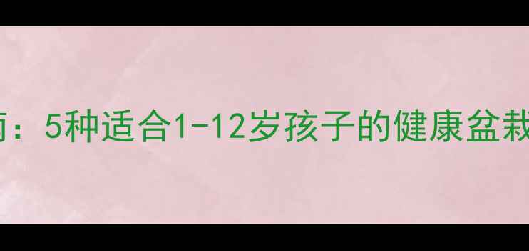 图片 儿童房安全植物指南：5种适合1-12岁孩子的健康盆栽推荐与养护全攻略1
