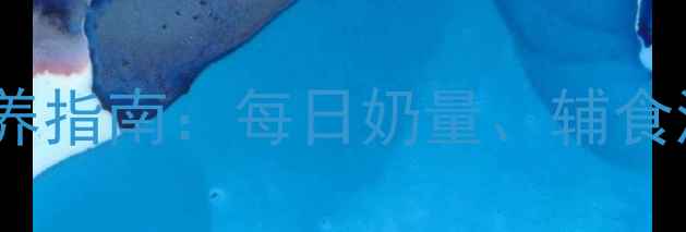 图片 八个月宝宝科学喂养指南：每日奶量、辅食添加与睡眠管理全2