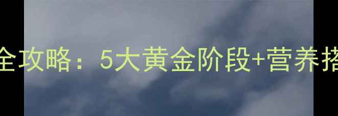 图片 六个月宝宝辅食添加全攻略：5大黄金阶段+营养搭配表+30道辅食食谱2