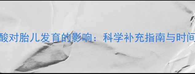 图片 叶酸对胎儿发育的影响：科学补充指南与时间表