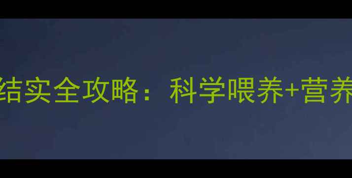 图片 四个月宝宝肌肉结实全攻略：科学喂养+营养搭配的黄金法则