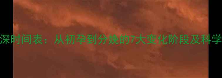 图片 妊娠线加深时间表：从初孕到分娩的7大变化阶段及科学护理指南