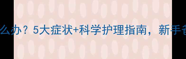 图片 婴儿低烧怎么办？5大症状+科学护理指南，新手爸妈必看！2
