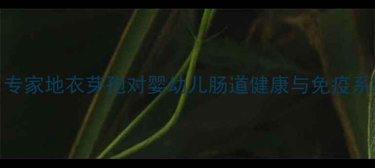 图片 婴儿可以吃地衣芽孢吗？专家地衣芽孢对婴幼儿肠道健康与免疫系统的益处及科学食用指南