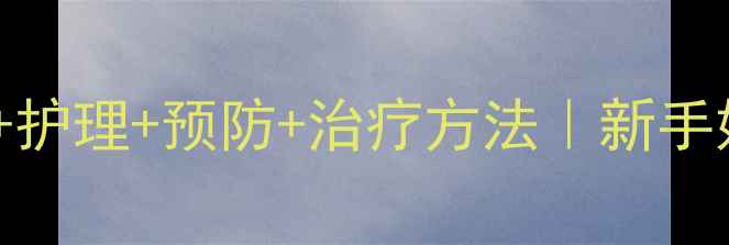 图片 婴儿尿路感染症状+护理+预防+治疗方法｜新手妈妈必看详细指南2