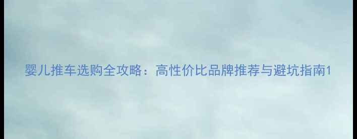 图片 婴儿推车选购全攻略：高性价比品牌推荐与避坑指南1