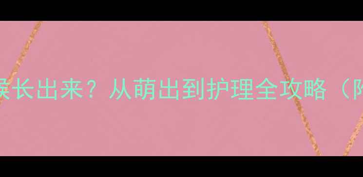 图片 婴儿第一颗牙什么时候长出来？从萌出到护理全攻略（附时间表+误区解答）1