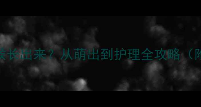 图片 婴儿第一颗牙什么时候长出来？从萌出到护理全攻略（附时间表+误区解答）2