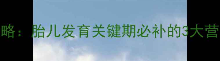 图片 孕19周营养补充全攻略：胎儿发育关键期必补的3大营养素及科学摄入指南