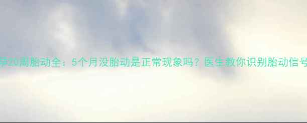 图片 孕20周胎动全：5个月没胎动是正常现象吗？医生教你识别胎动信号
