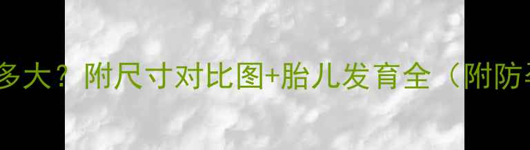 图片 孕四月肚子多大？附尺寸对比图+胎儿发育全（附防孕肚干货）2