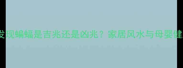 图片 孕妇家中发现蝙蝠是吉兆还是凶兆？家居风水与母婴健康的关系2