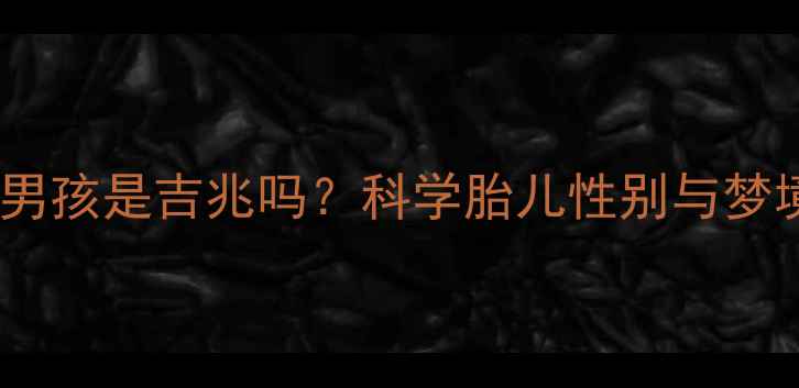 图片 孕妇梦见小男孩是吉兆吗？科学胎儿性别与梦境的关联性2