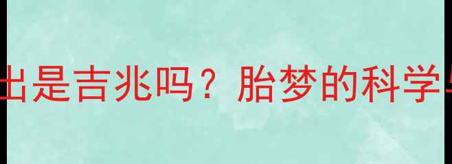 图片 孕妇梦见日出是吉兆吗？胎梦的科学与胎教指南1