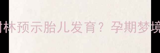 图片 孕妇梦见茂密树林预示胎儿发育？孕期梦境与宝宝健康全1