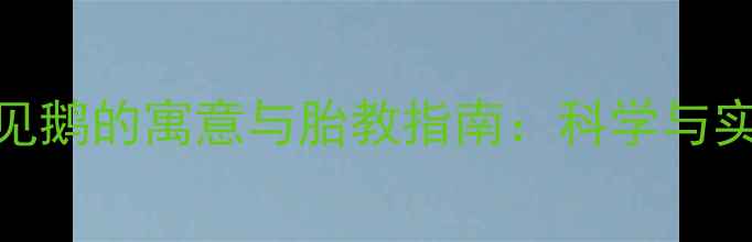 图片 孕妇梦见鹅的寓意与胎教指南：科学与实用建议