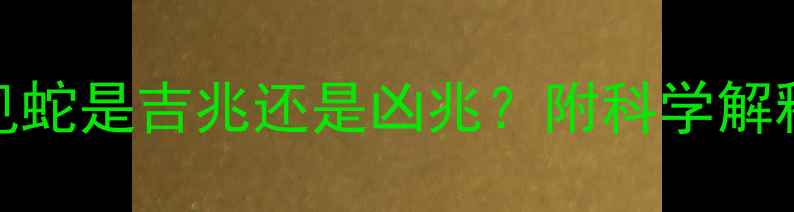 图片 孕妇白天遇见蛇是吉兆还是凶兆？附科学解释与化解方法