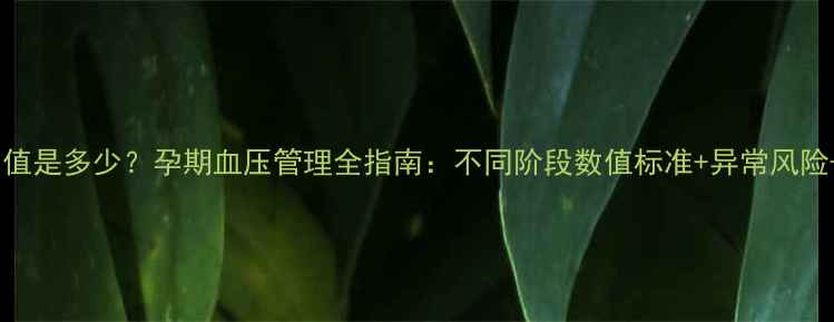 图片 孕妇血压正常值是多少？孕期血压管理全指南：不同阶段数值标准+异常风险+科学预防法2
