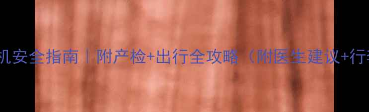 图片 孕晚期坐飞机安全指南｜附产检+出行全攻略（附医生建议+行李清单）🔥1