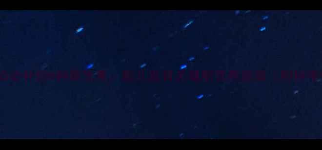 图片 孕期三个月后必补的6种维生素：胎儿发育关键期营养指南（附科学补充方案）1