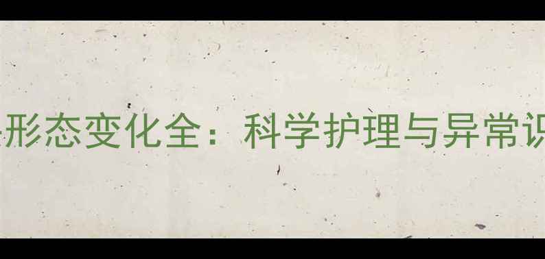 图片 孕期乳头形态变化全：科学护理与异常识别指南2